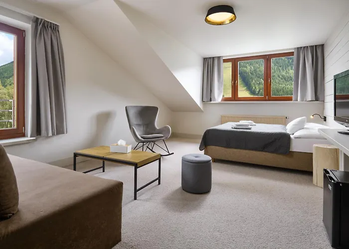 Hotel Adam Szpindlerowy Młyn