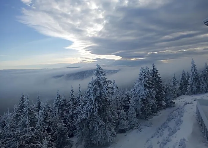 Interferie Aquapark Sport Hotel Malachit Świeradów-Zdrój