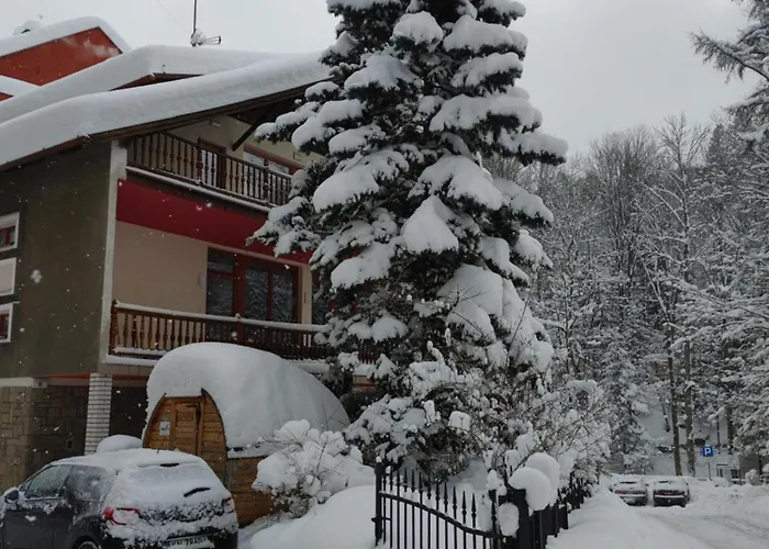 Willa M Cisza W Centrum Miasta Krynica-Zdrój