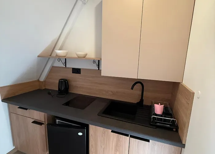 Pokoje i apartament z widokiem na Tatry Kościelisko