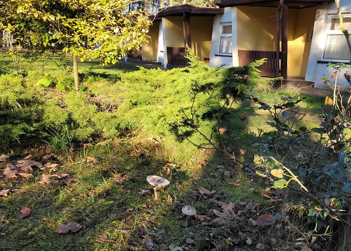 Ośrodek Wypoczynkowy Jelonek Wolsztyn