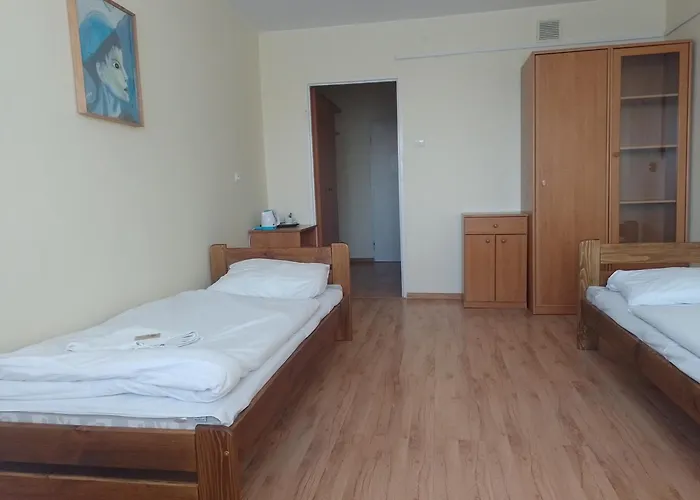 Homer Bydgoszcz