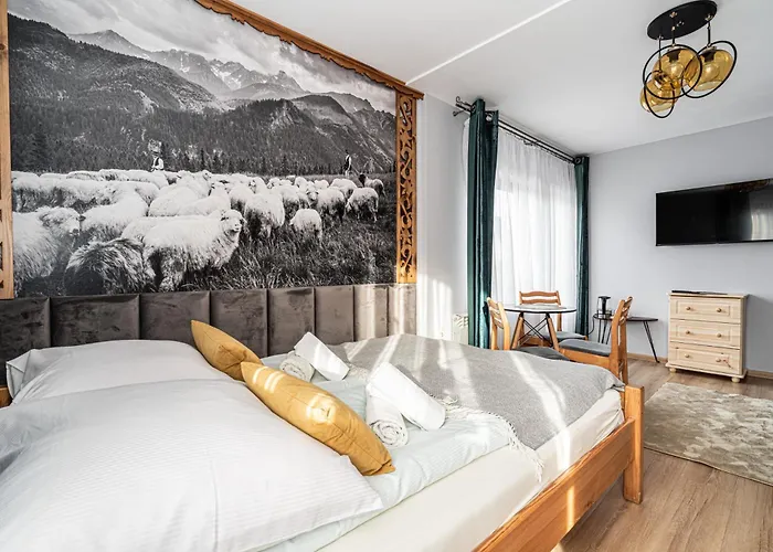 Willa u Baranów Zakopane