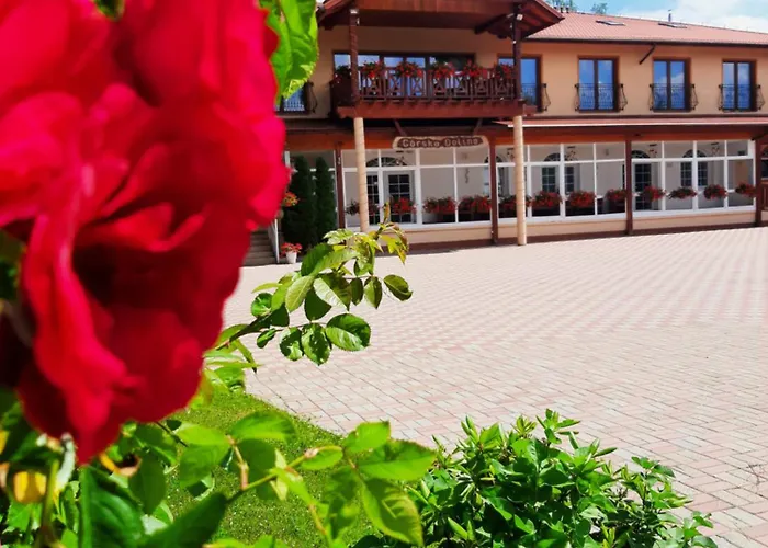 Bed and Breakfast Górska Dolina Stronie Śląskie