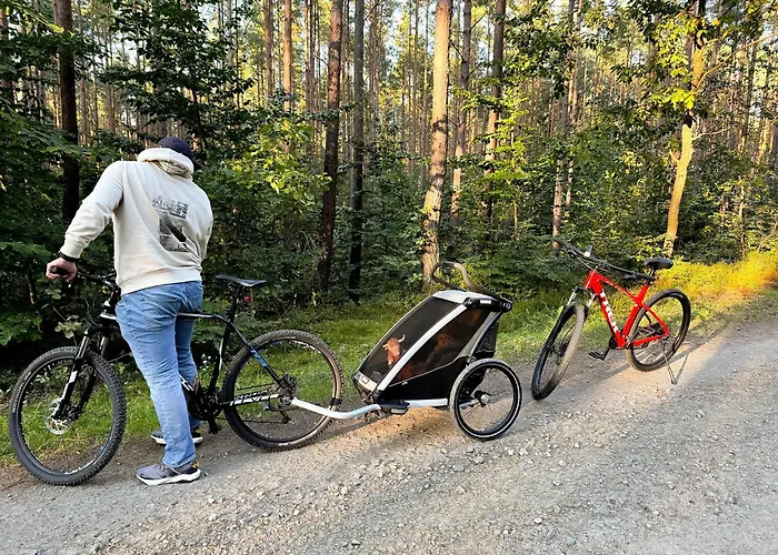 Tulipanowy Gościniec Jantar