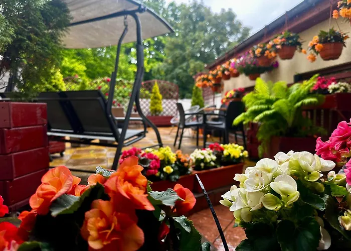 Hotel Kamienica pod Kasztanami Świnoujście 