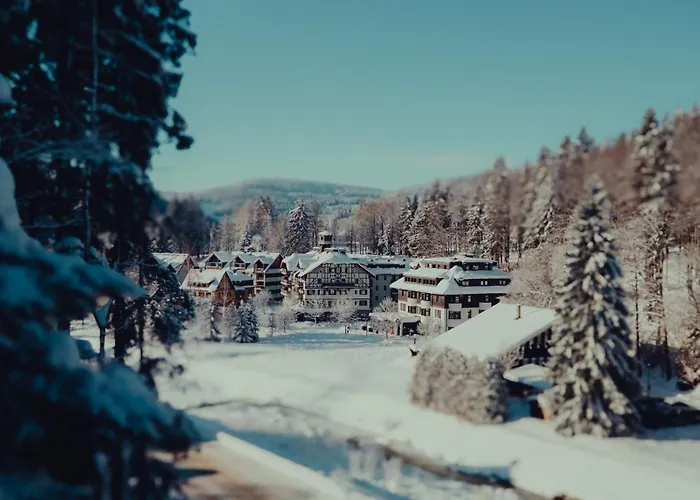 Hotel Savoy Szpindlerowy Młyn