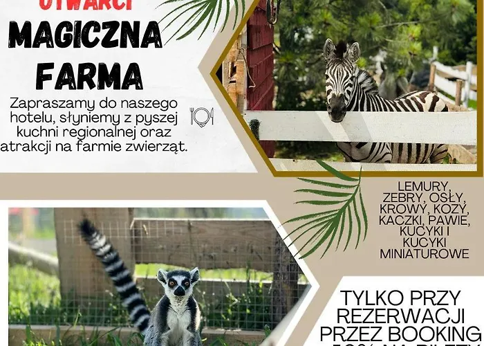 Magiczna Farma Hotel Obiady Mąka i Magia Zambrow