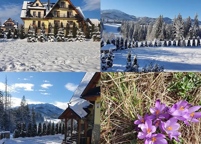 Willa w Tatrach u Czyszczoniów Kościelisko
