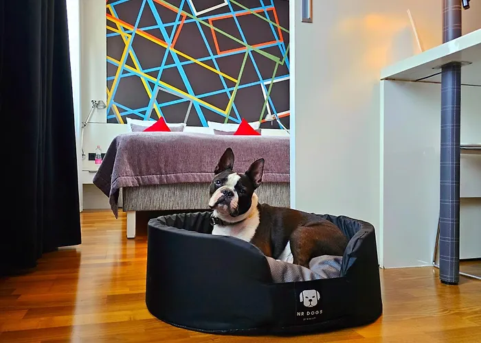 Bohem Art Hotel Budapeszt