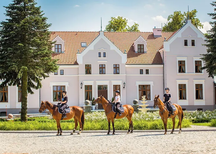 Palac Mortegi Hotel&SPA - Restauracja Szlachecka, SPA, Basen, Sauny, Jazda Konna, Mini Zoo - Luksus, Relaks i Przyroda w jednym! Lubawa