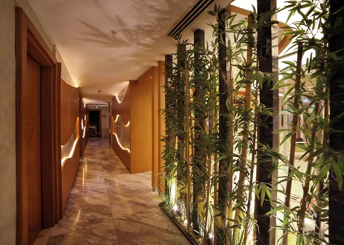 Veyron Hotels & Spa Stambuł