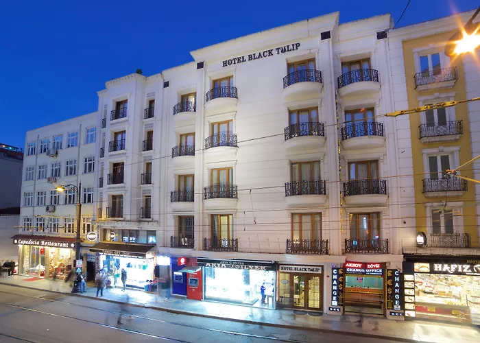 Hotel Black Tulip Stambuł