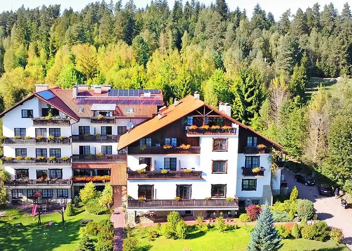 VILLA MEDICA - podgrzewany basen i pełne wyżywieniem Rabka