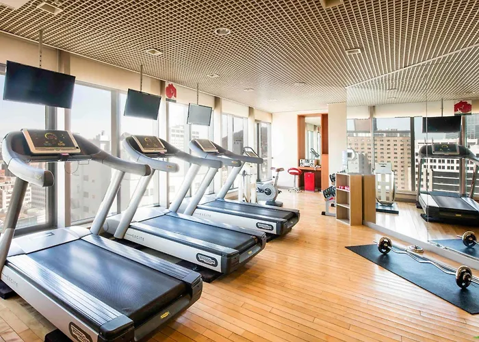 Hotel Ibis Ambassador Myeongdong Seul