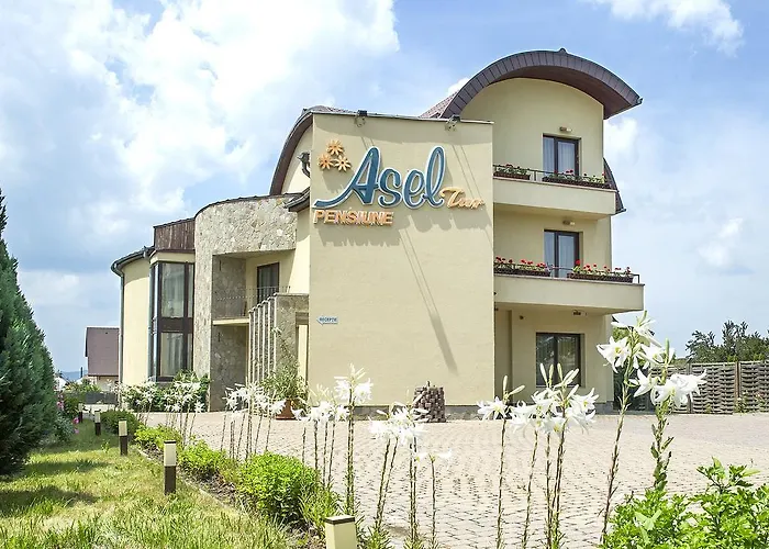 Hotel Aseltur Braszów