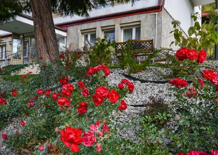 Dom Wczasowy Sokolica Krynica-Zdrój